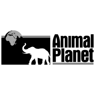 Animal Planet Logo Black and White