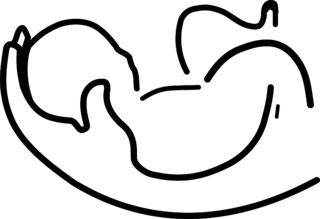 BABY Logo Black and White