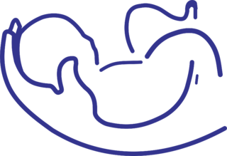 BABY Logo PNG