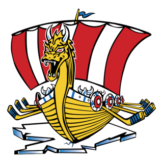 Baie Comeau Drakkar Logo PNG