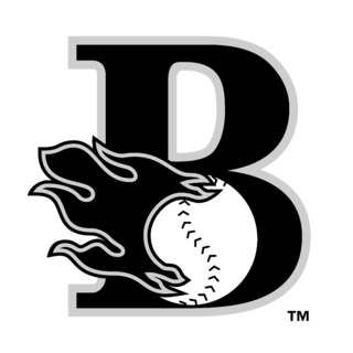 Bakersfield Blaze Logo Black and White