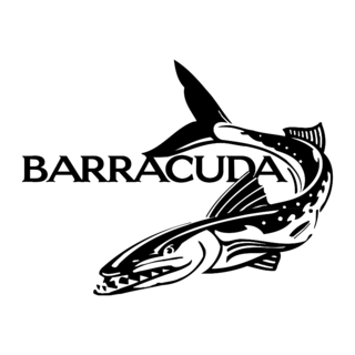 Barracuda Logo PNG