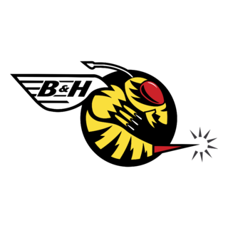B&H Jordan Logo PNG