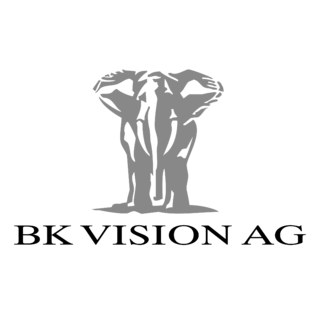 BK Vision Logo Black and White