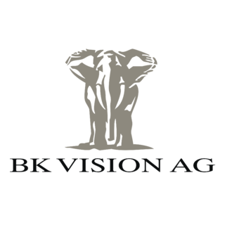 BK Vision Logo PNG