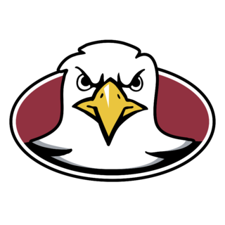 Boston College Eagles Logo PNG (3)