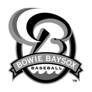 Bowie Baysox Logo Black and White