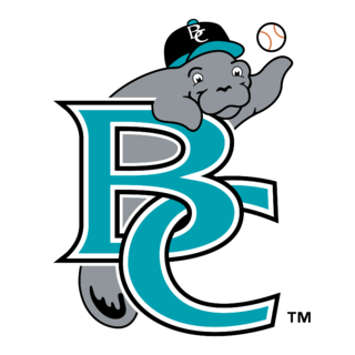 Brevard County Manatees Logo PNG