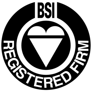 BSI Logo PNG