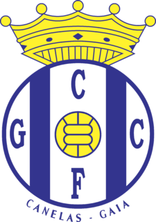 Canelas Gaia Fc Logo PNG