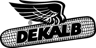 Dekalb Logo Black and White