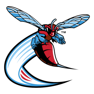 Delaware State Hornets Logo PNG (2)