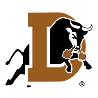 Durham Bulls Logo PNG (2)
