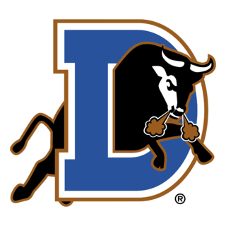 Durham Bulls Logo PNG