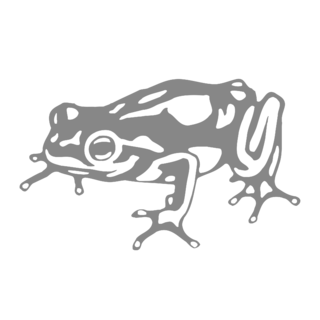 Frog Design Logo Black and White
