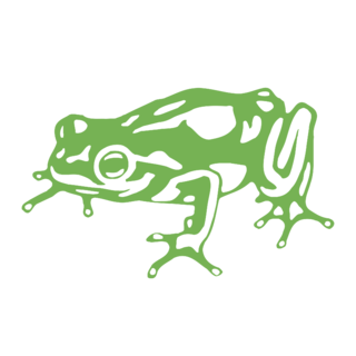 Frog Design Logo PNG