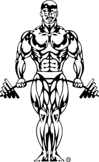 Golds Gym Logo PNG (1)