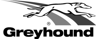 Greyhound Logo PNG