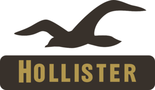 Hollister Co Logo PNG