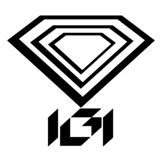 IGI Logo Black and White