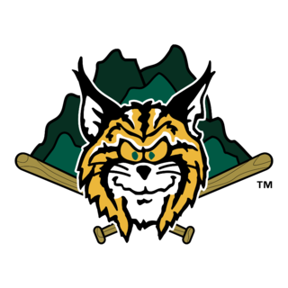 Lynchburg Hillcats Logo PNG