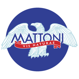 Mattoni Logo PNG