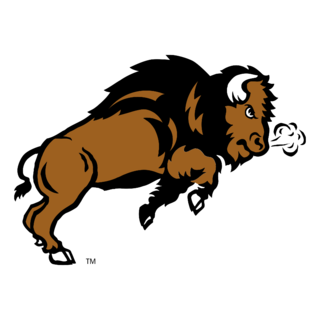 NDSU Bison Logo PNG (1)