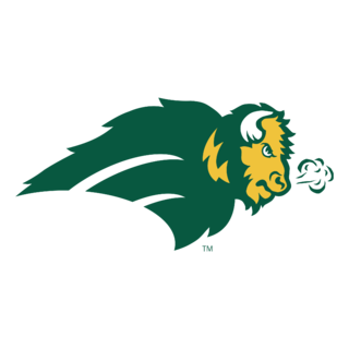 NDSU Bison Logo PNG (3)