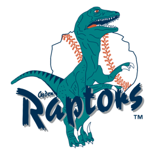 Ogden Raptors Logo PNG