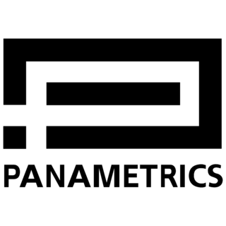 Panametrics Logo Black and White