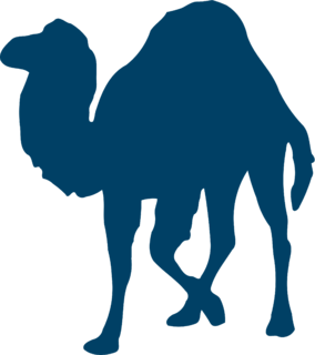 Perl Programming Language Logo PNG