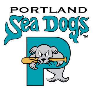 Portland Sea Dogs Logo PNG (1)
