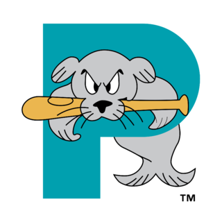 Portland Sea Dogs Logo PNG