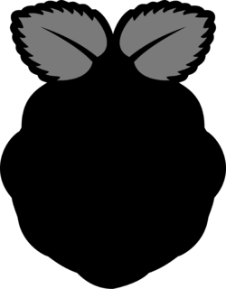 Raspberry Pi Logo Black and White