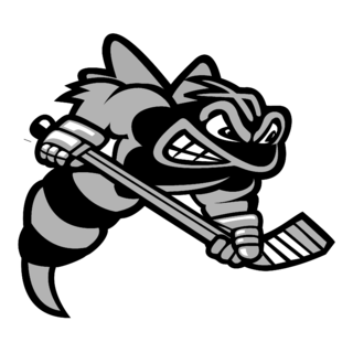 Sarnia Sting Logo Black and White