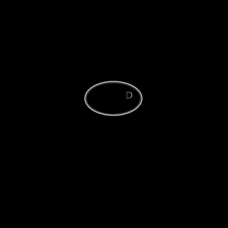 SFP Logo Black and White