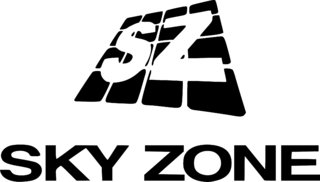 Sky Zone Logo Black and White