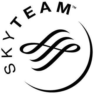 SkyTeam Logo Black and White