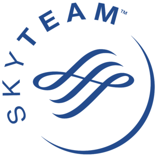 SkyTeam Logo PNG