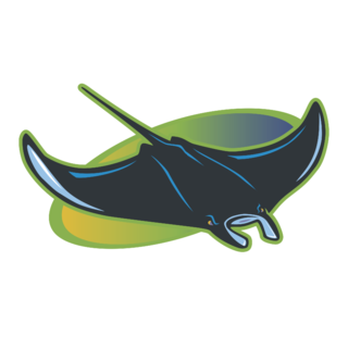 Tampa Bay Devil Rays Logo PNG (2)