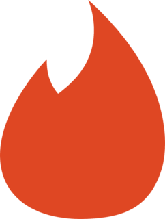 Tinder Icon Logo PNG