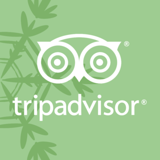 Tripadvisor Logo PNG (4)