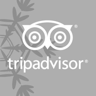 Tripadvisor Logo Black and White (4)