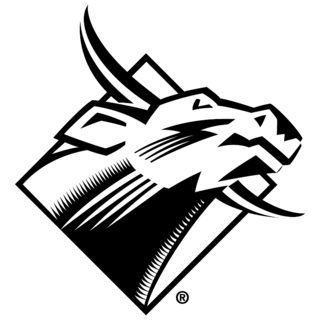 USF Bulls Logo PNG