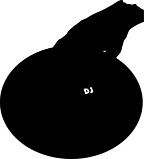 Virtual DJ Logo Black and White