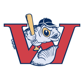 Winnipeg Goldeyes Logo PNG