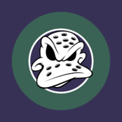 Anaheim Mighty Ducks Logo (1)