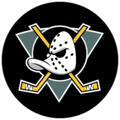 Anaheim Mighty Ducks Logo (2)