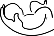 BABY Logo Black and White