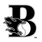 Bakersfield Blaze Logo Black and White